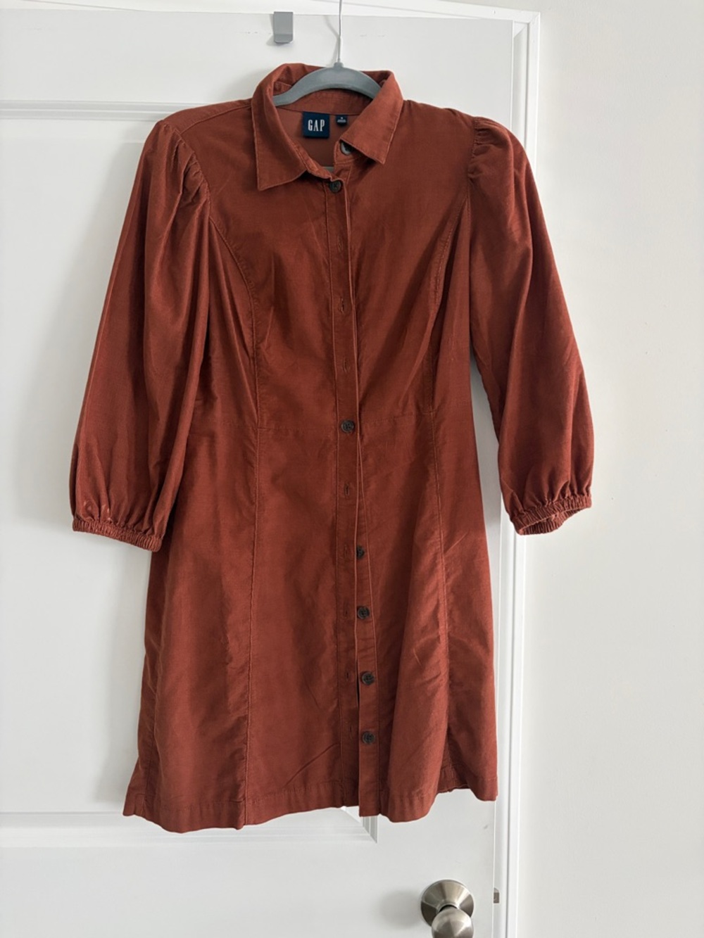GAP Rust-Red Button Front Mini Dress